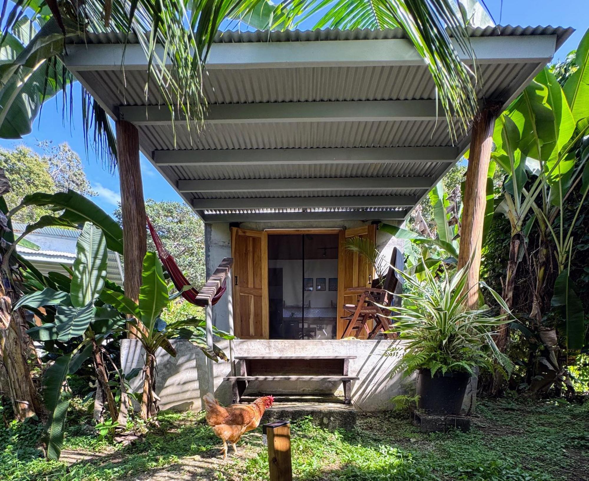 Casa Salvaje Vacation Rentals Bocas Town Kültér fotó