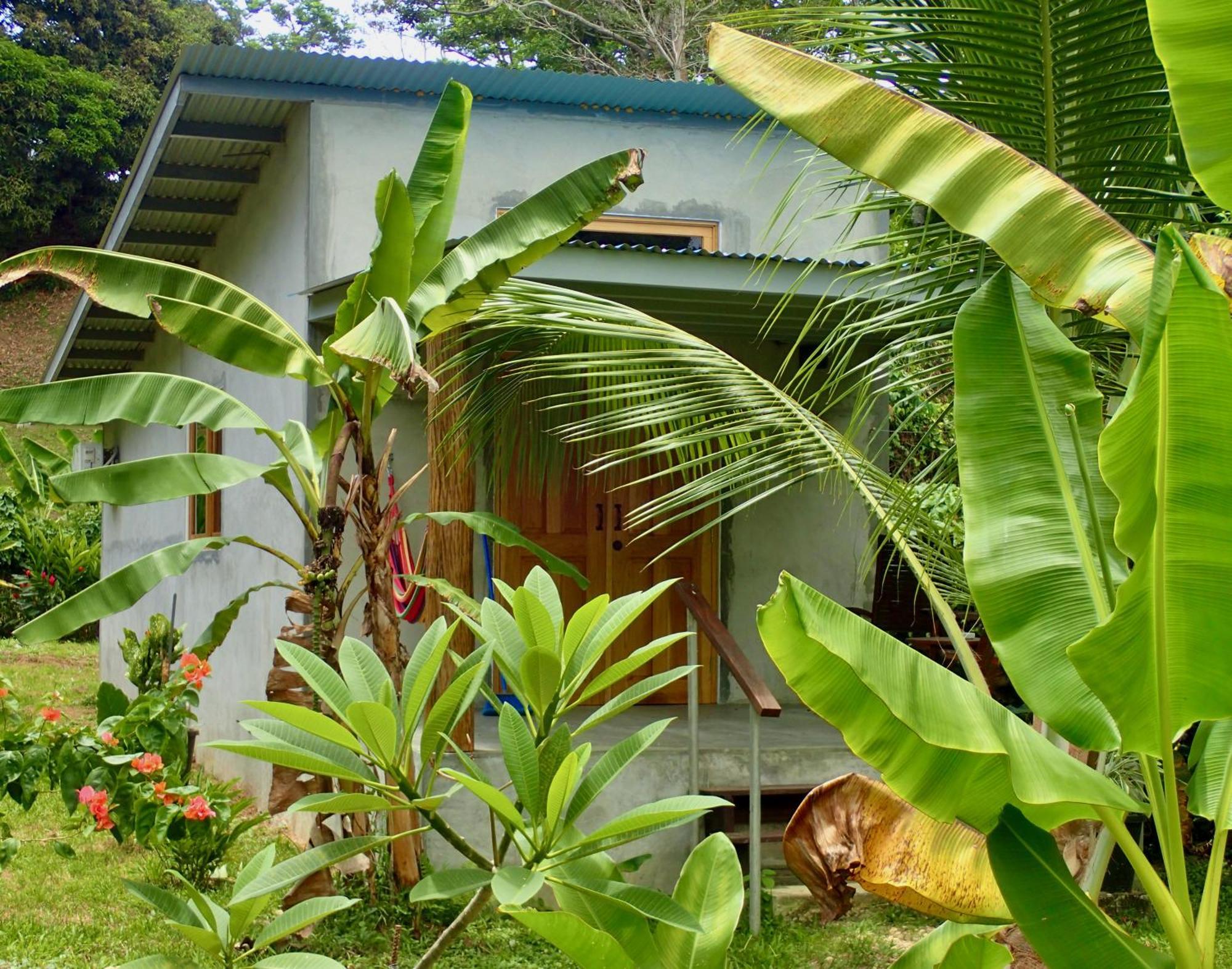 Casa Salvaje Vacation Rentals Bocas Town Kültér fotó